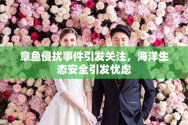 章鱼侵扰事件引发关注，海洋生态安全引发忧虑