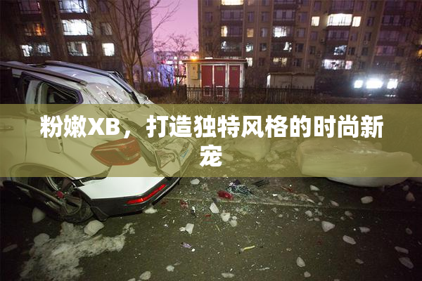 粉嫩XB，打造独特风格的时尚新宠