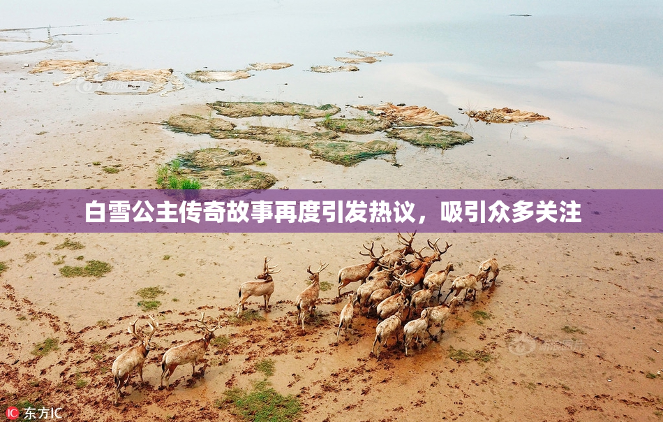 白雪公主传奇故事再度引发热议，吸引众多关注