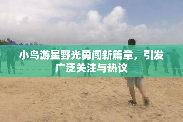 小鸟游星野光勇闯新篇章，引发广泛关注与热议