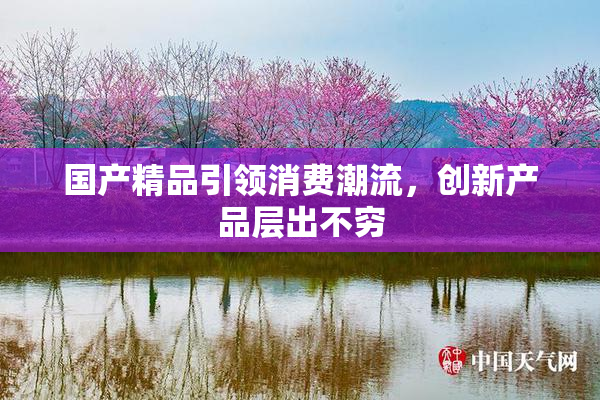国产精品引领消费潮流，创新产品层出不穷