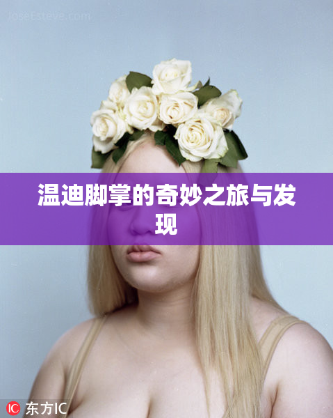 温迪脚掌的奇妙之旅与发现