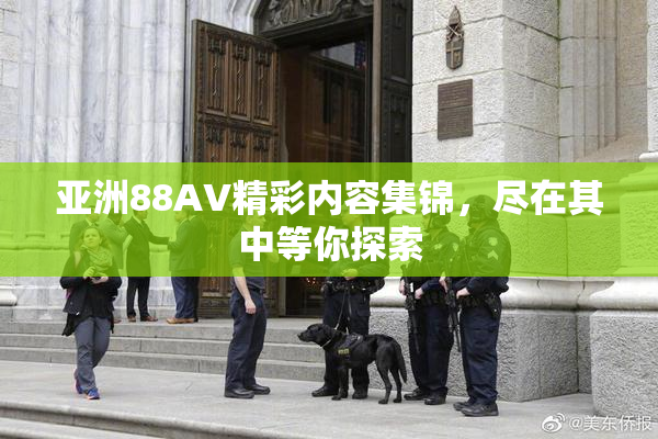 亚洲88AV精彩内容集锦，尽在其中等你探索