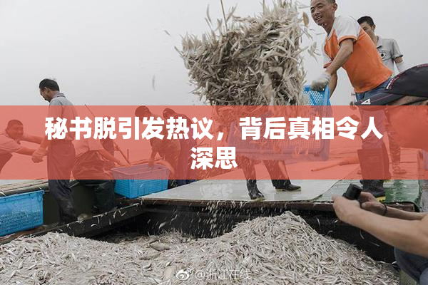 秘书脱引发热议，背后真相令人深思