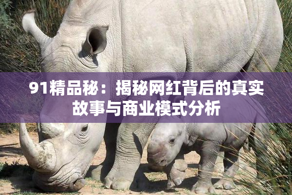 91精品秘：揭秘网红背后的真实故事与商业模式分析
