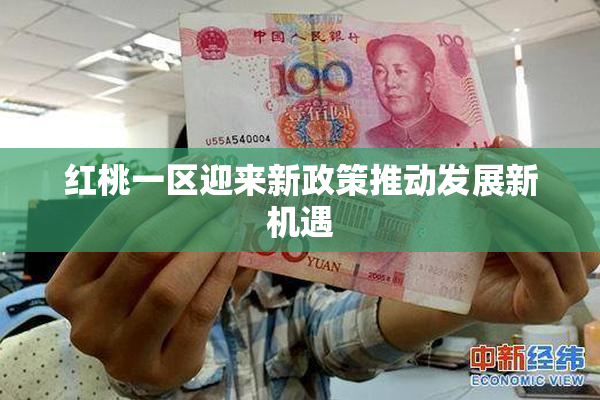 红桃一区迎来新政策推动发展新机遇