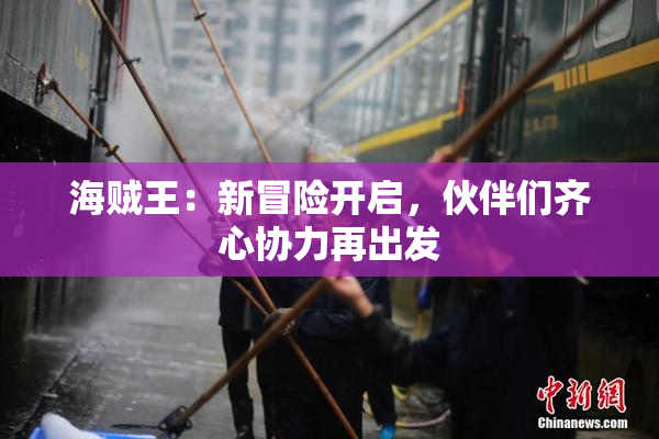 海贼王：新冒险开启，伙伴们齐心协力再出发
