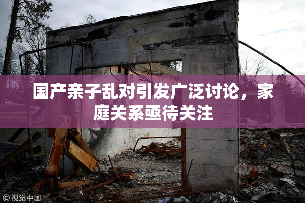 国产亲子乱对引发广泛讨论，家庭关系亟待关注