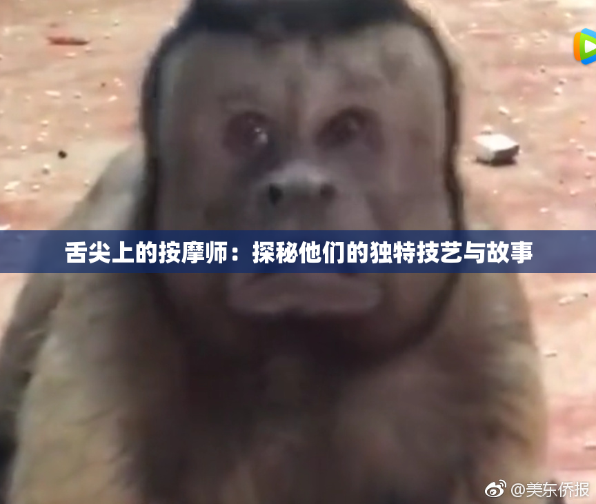 舌尖上的按摩师：探秘他们的独特技艺与故事