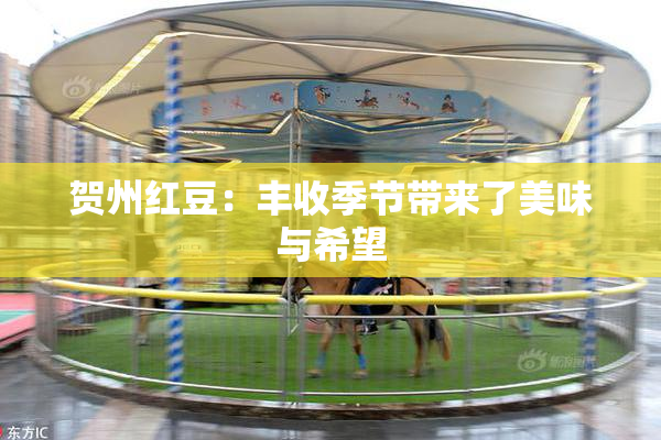 贺州红豆：丰收季节带来了美味与希望