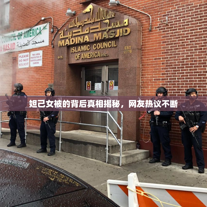 妲己女被的背后真相揭秘，网友热议不断