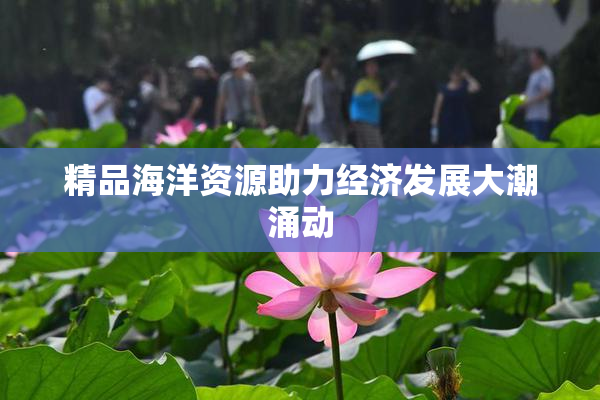 精品海洋资源助力经济发展大潮涌动