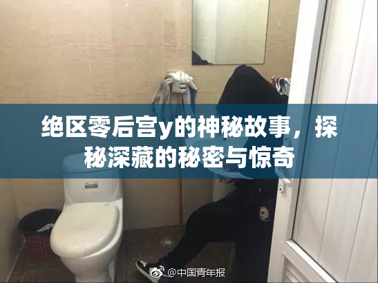 绝区零后宫y的神秘故事，探秘深藏的秘密与惊奇