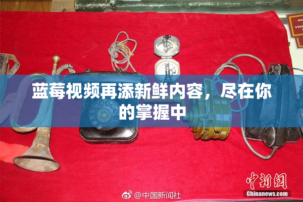 蓝莓视频再添新鲜内容，尽在你的掌握中