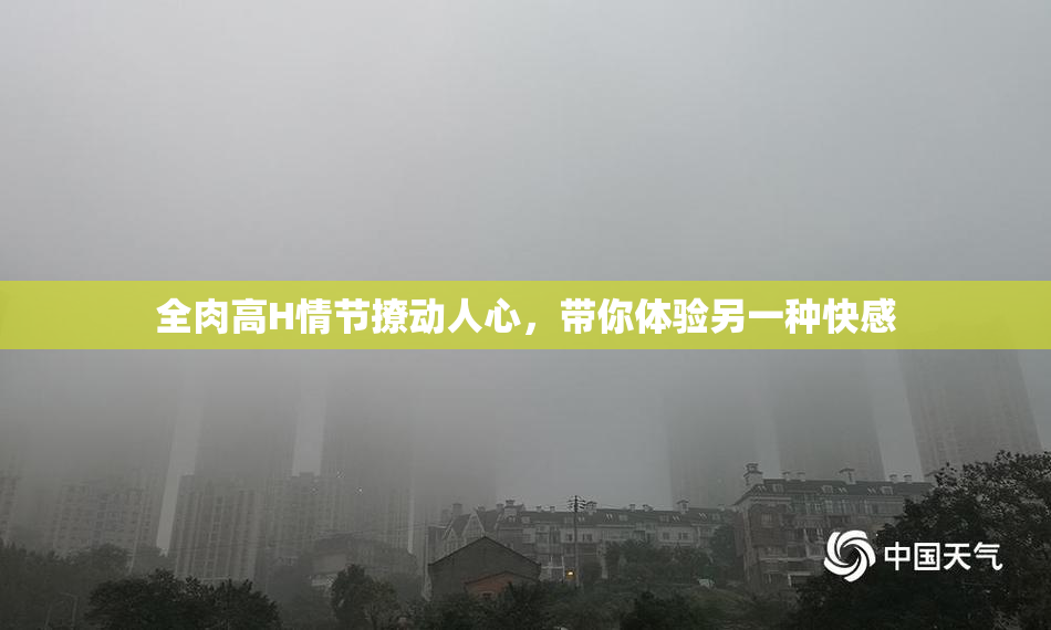 全肉高H情节撩动人心，带你体验另一种快感
