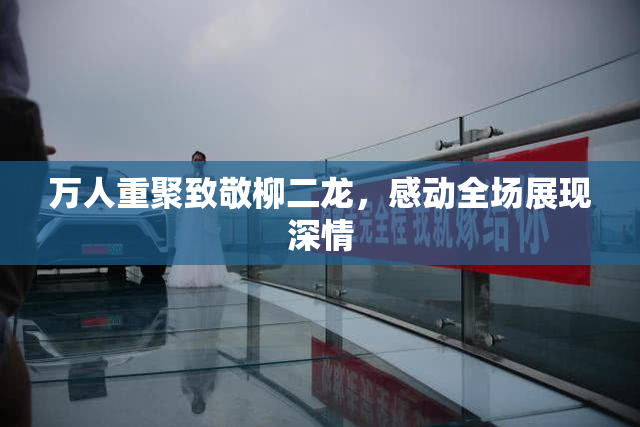 万人重聚致敬柳二龙，感动全场展现深情