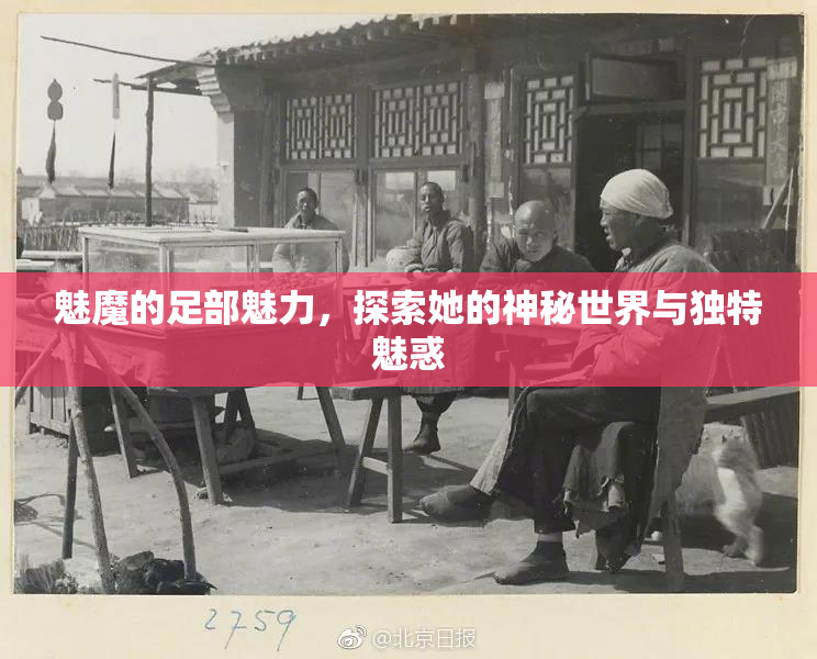 魅魔的足部魅力，探索她的神秘世界与独特魅惑