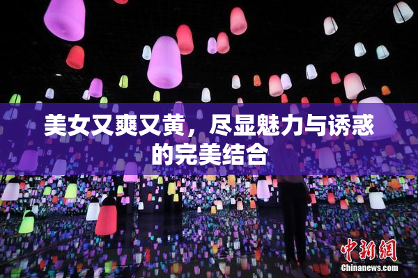 美女又爽又黄，尽显魅力与诱惑的完美结合