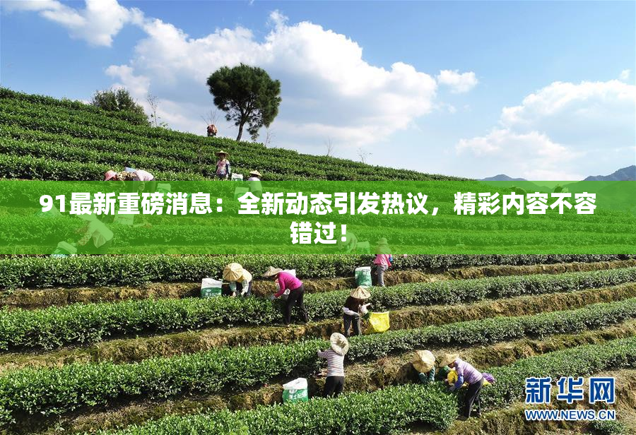 91最新重磅消息：全新动态引发热议，精彩内容不容错过！