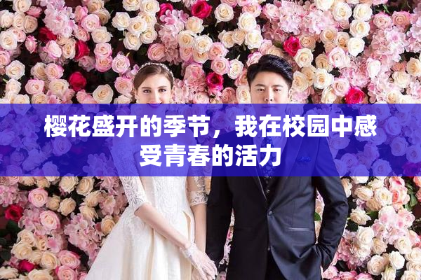 樱花盛开的季节，我在校园中感受青春的活力