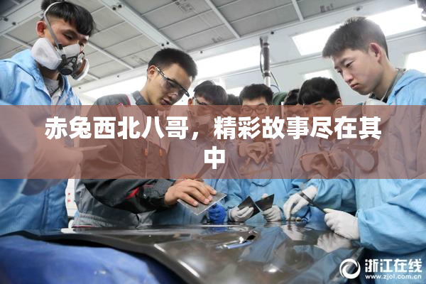 赤兔西北八哥，精彩故事尽在其中