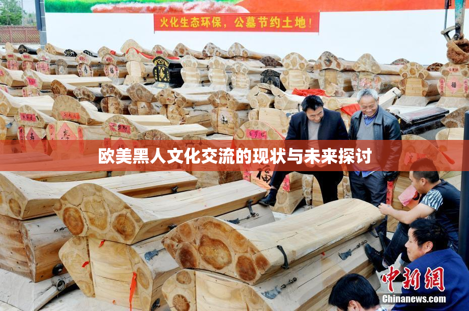 欧美黑人文化交流的现状与未来探讨