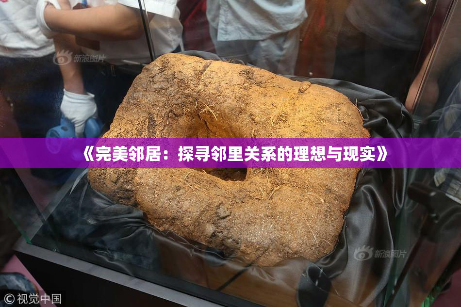 《完美邻居：探寻邻里关系的理想与现实》