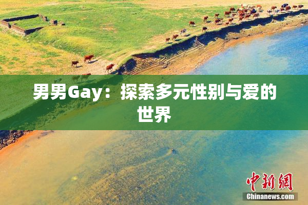 男男Gay：探索多元性别与爱的世界