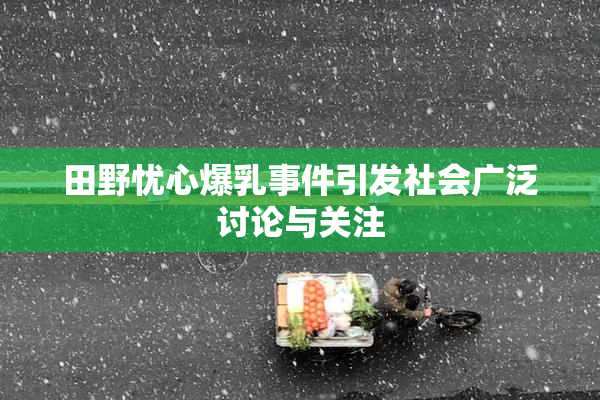 田野忧心爆乳事件引发社会广泛讨论与关注