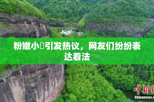 粉嫩小泬引发热议，网友们纷纷表达看法