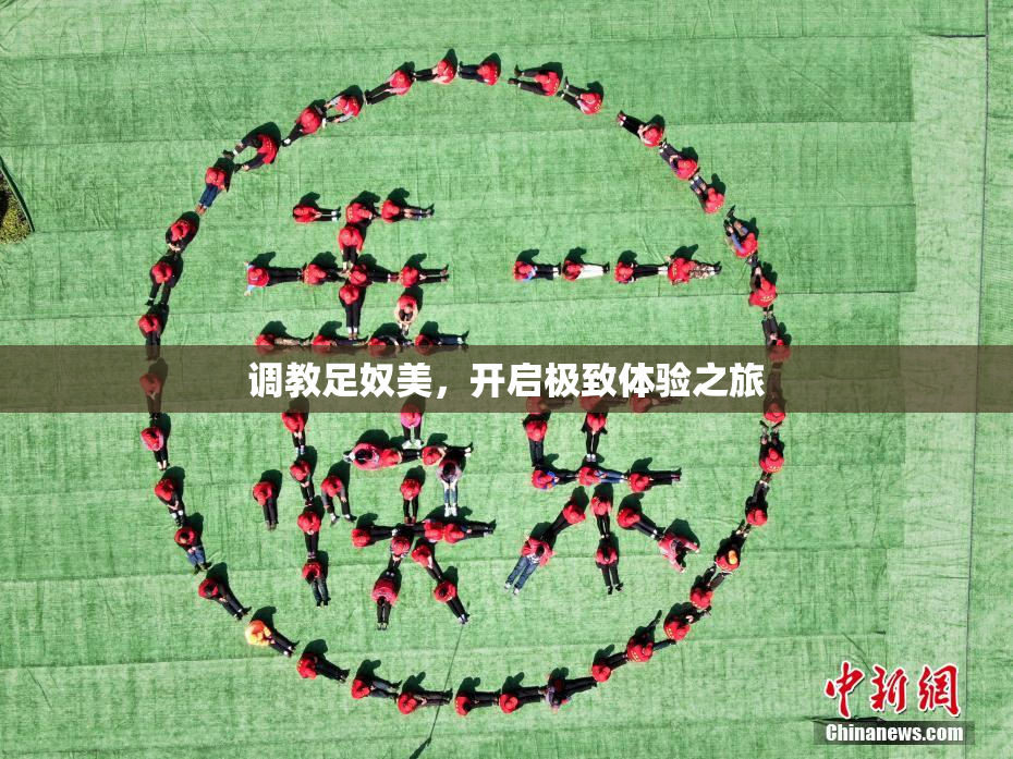 调教足奴美，开启极致体验之旅