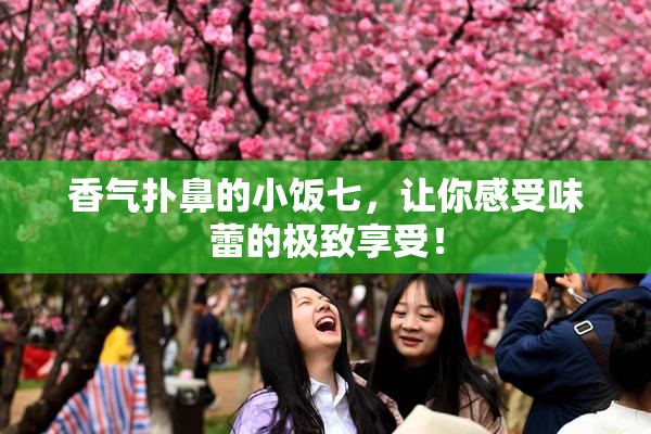 香气扑鼻的小饭七，让你感受味蕾的极致享受！