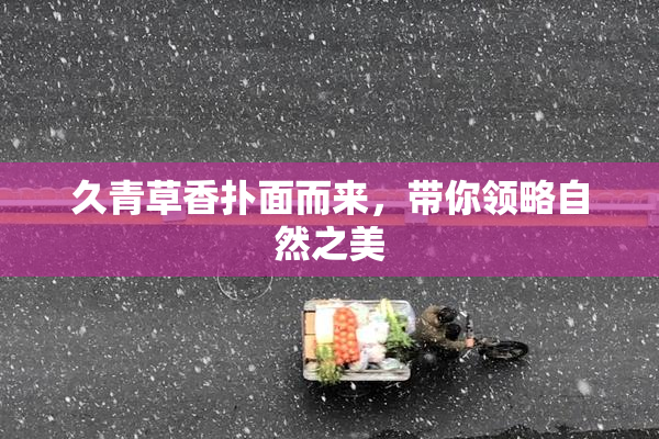 久青草香扑面而来，带你领略自然之美