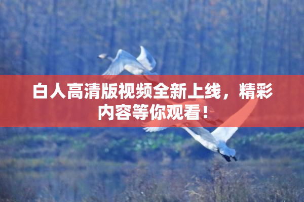 白人高清版视频全新上线，精彩内容等你观看！