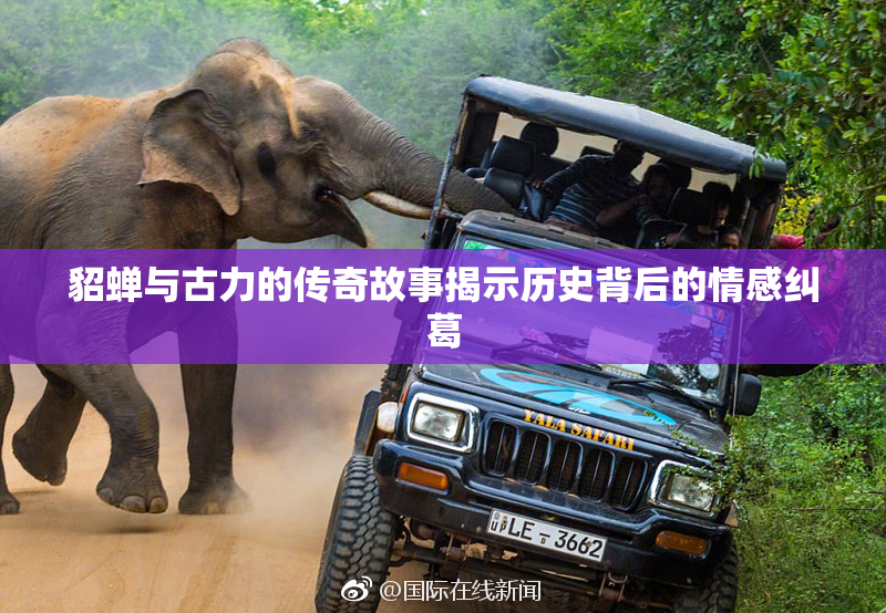 貂蝉与古力的传奇故事揭示历史背后的情感纠葛