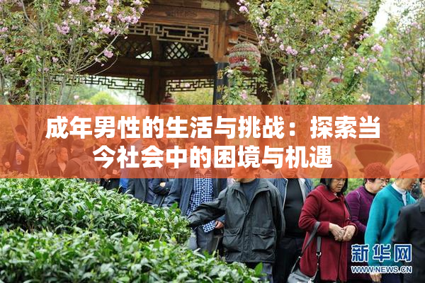 成年男性的生活与挑战：探索当今社会中的困境与机遇