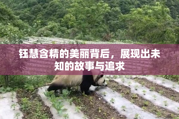 钰慧含精的美丽背后，展现出未知的故事与追求