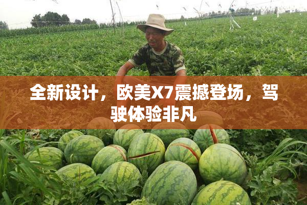 全新设计，欧美X7震撼登场，驾驶体验非凡