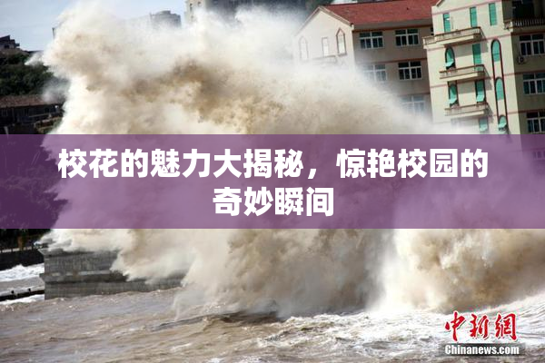校花的魅力大揭秘，惊艳校园的奇妙瞬间