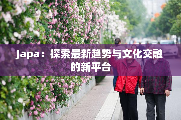 Japa：探索最新趋势与文化交融的新平台