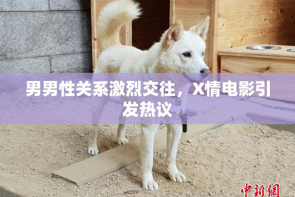 男男性关系激烈交往，X情电影引发热议