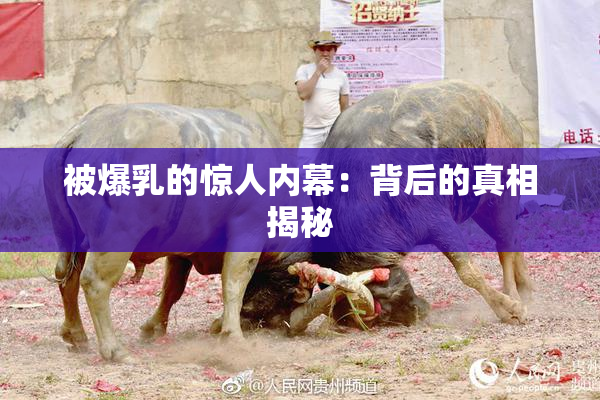 被爆乳的惊人内幕：背后的真相揭秘