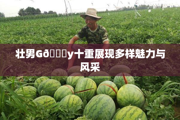 壮男G🈚y十重展现多样魅力与风采
