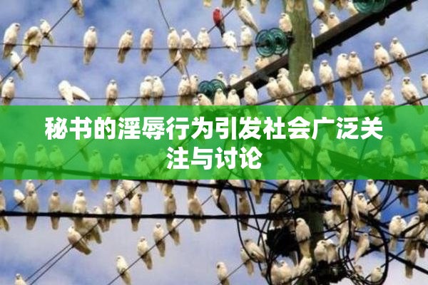 秘书的淫辱行为引发社会广泛关注与讨论