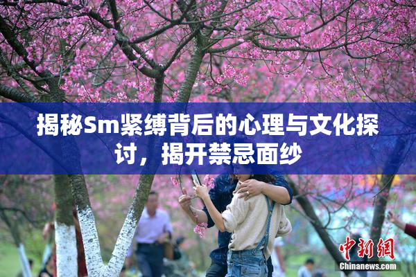 揭秘Sm紧缚背后的心理与文化探讨，揭开禁忌面纱