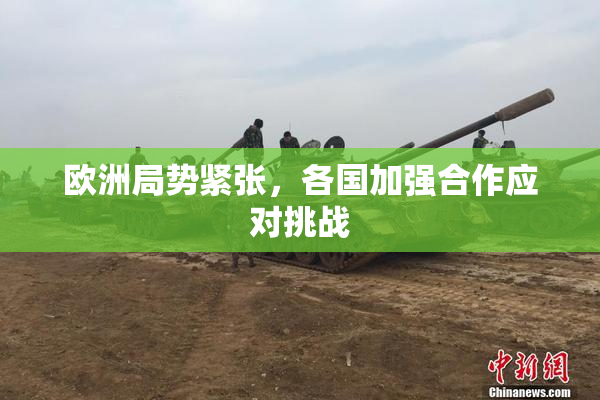 欧洲局势紧张，各国加强合作应对挑战
