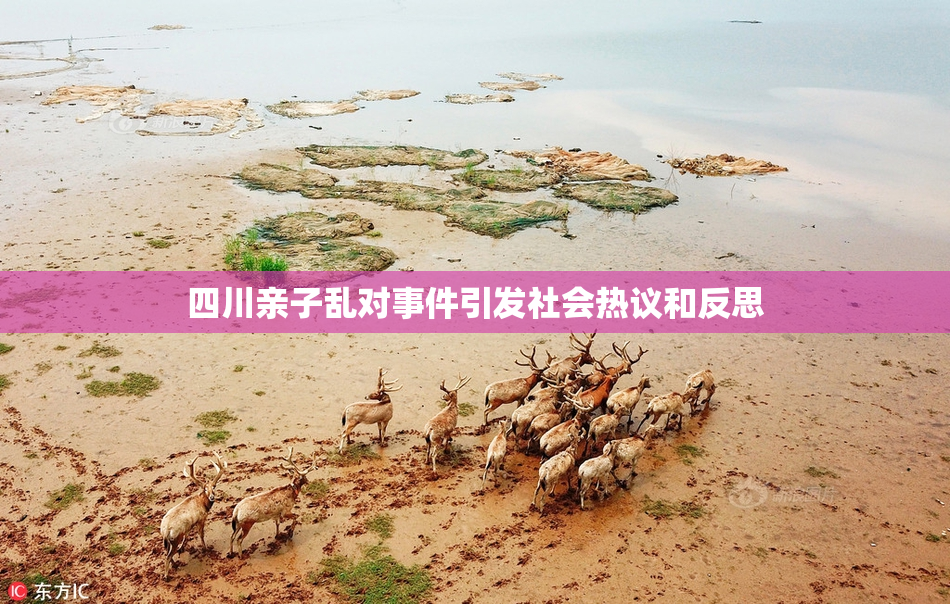 四川亲子乱对事件引发社会热议和反思