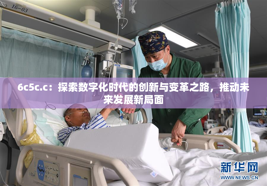 6c5c.c：探索数字化时代的创新与变革之路，推动未来发展新局面