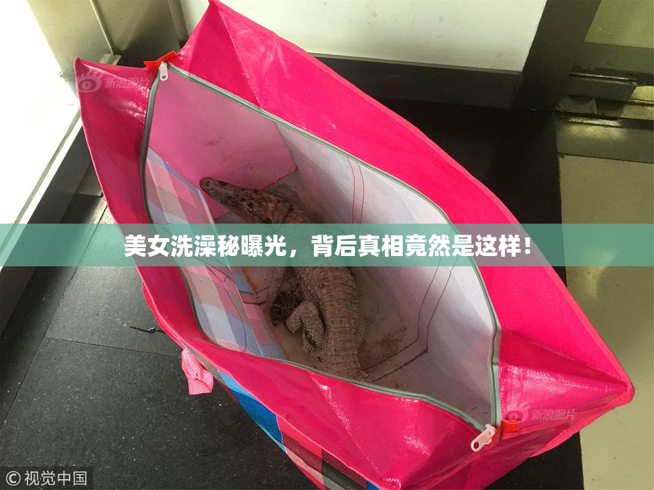 美女洗澡秘曝光，背后真相竟然是这样！