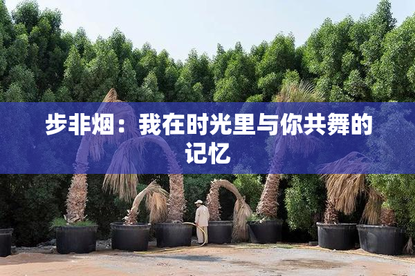 步非烟：我在时光里与你共舞的记忆
